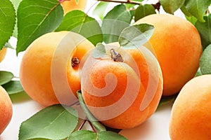 Apricots. Fresh organic fruit on white background