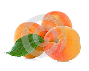 Apricots with leaf photo