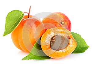 Apricots with leaves close-up isolated on a white background