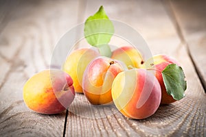 Apricots with leaves photo