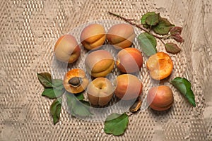 Apricots on a light background