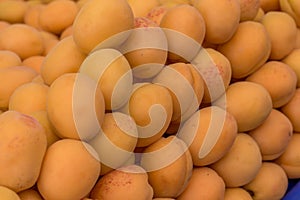 Apricots in market, close up view