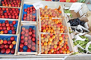 apricots peaches and grapes for sale