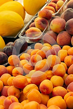 Apricots, plums, peach and melon on market stall. Heap of juicy fruits. Summer harvest. Healthy eating. Vitamins and antioxidant.