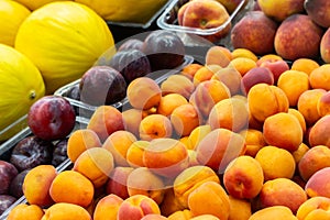 Apricots, plums, peach and melon on market stall. Heap of juicy fruits. Summer harvest. Healthy eating. Vitamins and antioxidant.