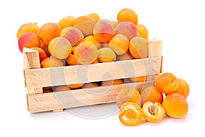 Apricots (Prunus armeniaca) in wooden crate