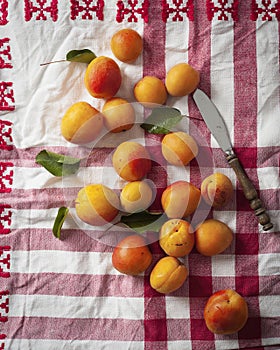 Apricots on a red towel