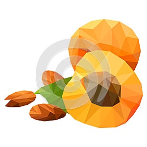Apricots, triangulation, on a white background low poly object