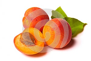 Apricots on white photo