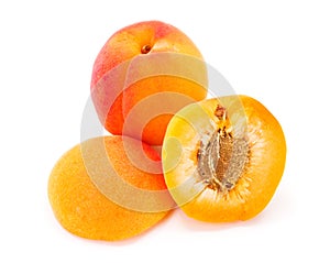 Apricots on white (Prunus armeniaca)