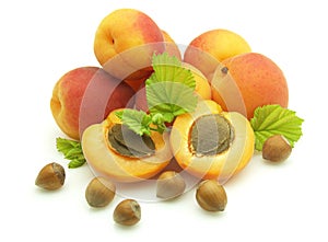 Apricots and wood nut