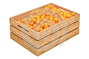 Apricots in the wooden crate, 3D rendering