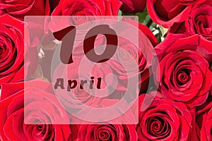 April 10th. Day of 10 month, calendar date. Natural background of red roses. A bouquet of dark red roses
