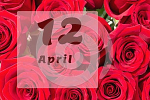April 12th. Day of 12 month, calendar date. Natural background of red roses. A bouquet of dark red roses