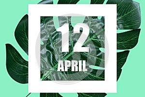 april 12th. Day 12 of month,Date text in white frame against tropical monstera leaf on green background spring month