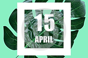 april 15th. Day 15 of month,Date text in white frame against tropical monstera leaf on green background spring month