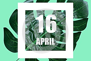 april 16th. Day 16 of month,Date text in white frame against tropical monstera leaf on green background spring month