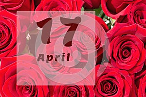 April 17th. Day of 17 month, calendar date. Natural background of red roses. A bouquet of dark red roses