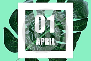 april 1st. Day 1 of month, Date text in white frame against tropical monstera leaf on green background spring month, day