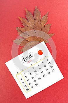 April 2024 calendar page and autumn maple leaf with thumbtack