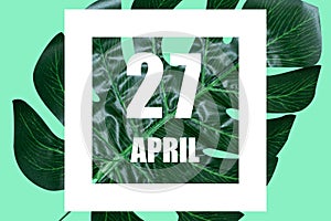 april 27th. Day 27 of month,Date text in white frame against tropical monstera leaf on green background spring month