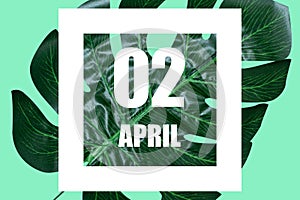 april 2nd. Day 2 of month,Date text in white frame against tropical monstera leaf on green background spring month, day