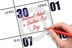 April 30. Hand writing text National Adopt a Shelter Pet Day on calendar date. Save the date.