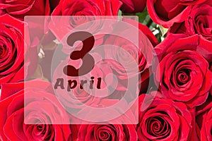 April 3rd. Day of 3 month, calendar date. Natural background of red roses. A bouquet of dark red roses