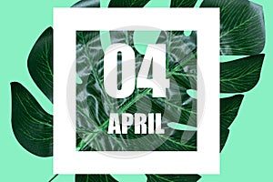 april 4th. Day 4 of month,Date text in white frame against tropical monstera leaf on green background spring month, day