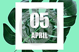 april 5th. Day 5 of month,Date text in white frame against tropical monstera leaf on green background spring month, day