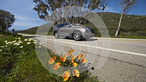 APRIL 7, 2019 - ROUTE 1, PCH, CENTRAL COAST, CA, USA - Route 1, Pacific Coast Highway (PCH) with spring flowers lining road