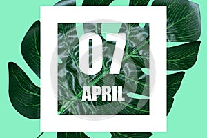 april 7th. Day 7 of month,Date text in white frame against tropical monstera leaf on green background spring month, day