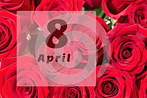 April 8th. Day of 8 month, calendar date. Natural background of red roses. A bouquet of dark red roses