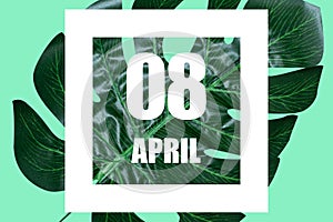 april 8th. Day 8 of month,Date text in white frame against tropical monstera leaf on green background spring month, day