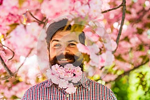 April events. Natural beauty surrounds me. Handsome bearded man outdoors. Happy easter. Hipster in cherry bloom. Man in
