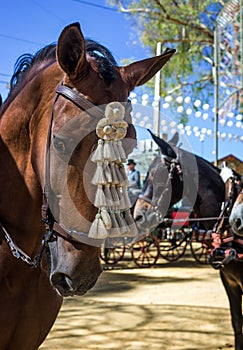 April fair of Utrera in Seville decoration and horses photo