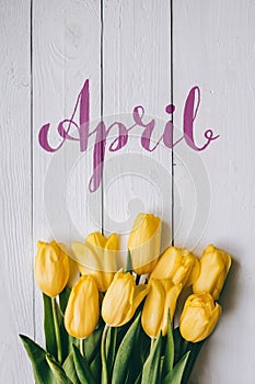 April hand lettering calligraphy. Yellow tulips bunch on white wooden planks rustic barn rural table background. Letters,