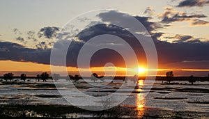 April over the Warta floodplains, sunset after a stormy day photo