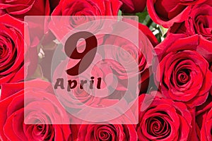 April94th. Day of 9 month, calendar date. Natural background of red roses. A bouquet of dark red roses