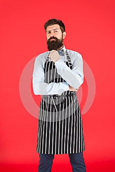 The apron is just part of my kit. Stylish waiter in elegant bow tie and bib apron. Bearded man wearing cooking apron