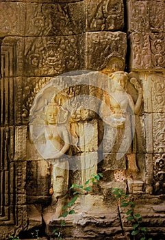 Apsaras in bas-relief on a wall at Ta Prohm temple ruins, located in the Angkor wat complex near Siem Reap, Cambodia.