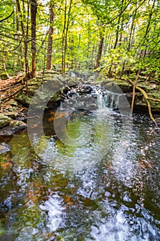 Apshawa Falls in a suburban nature preserve in NJ is surrounded by lush green forest on a summer afternoon