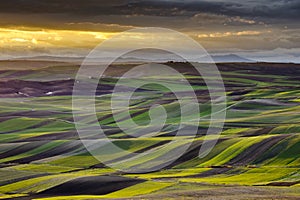 Apulian landscape at sunset, Apulia - Southern Ita