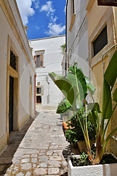 The Apulian village of Galatina, Italy.