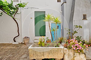 The Apulian village of Presicce, Italy.