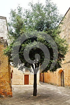 The Apulian village of Tricase, Italy.