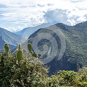 The Apurimac river valley: Green steep slopes of deep canyon with lush vegetation, the Choquequirao trek, Peru