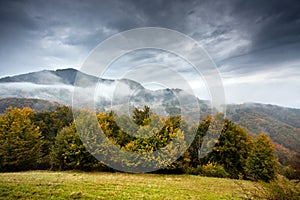 Apuseni landscape