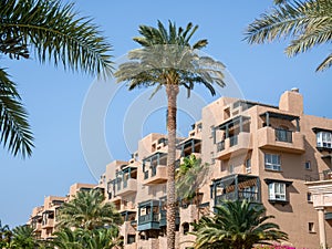 MÃÂ¶venpick Aqaba luxury hotel apartment building surrounded by palm trees