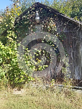 AQBroad side of mother natures barn